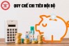QUY CHE CHI TIEU